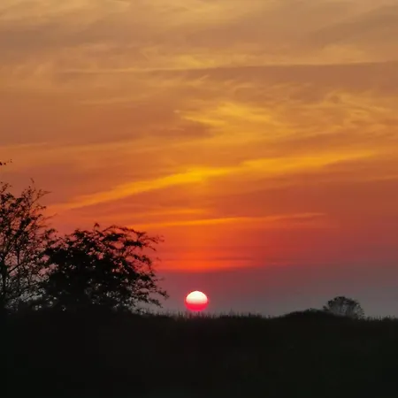 Blabjerg Barn Tonder