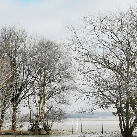 Blabjerg Barn *