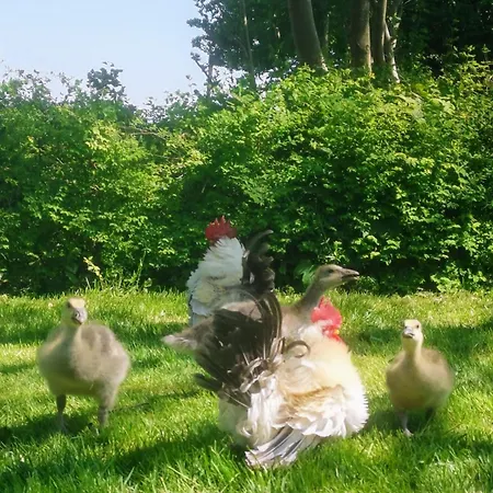 Blabjerg Barn * Tønder