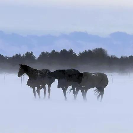 Apartment Blabjerg Barn *