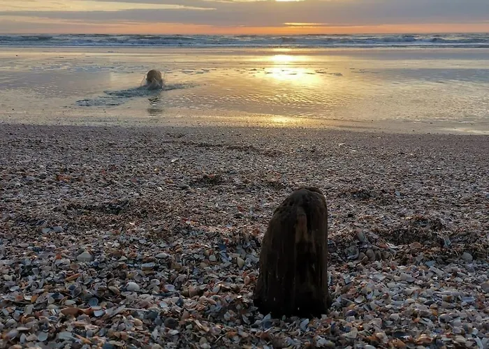 Blabjerg Barn * Tonder