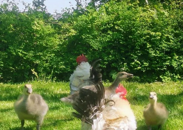 Blabjerg Barn * Tonder